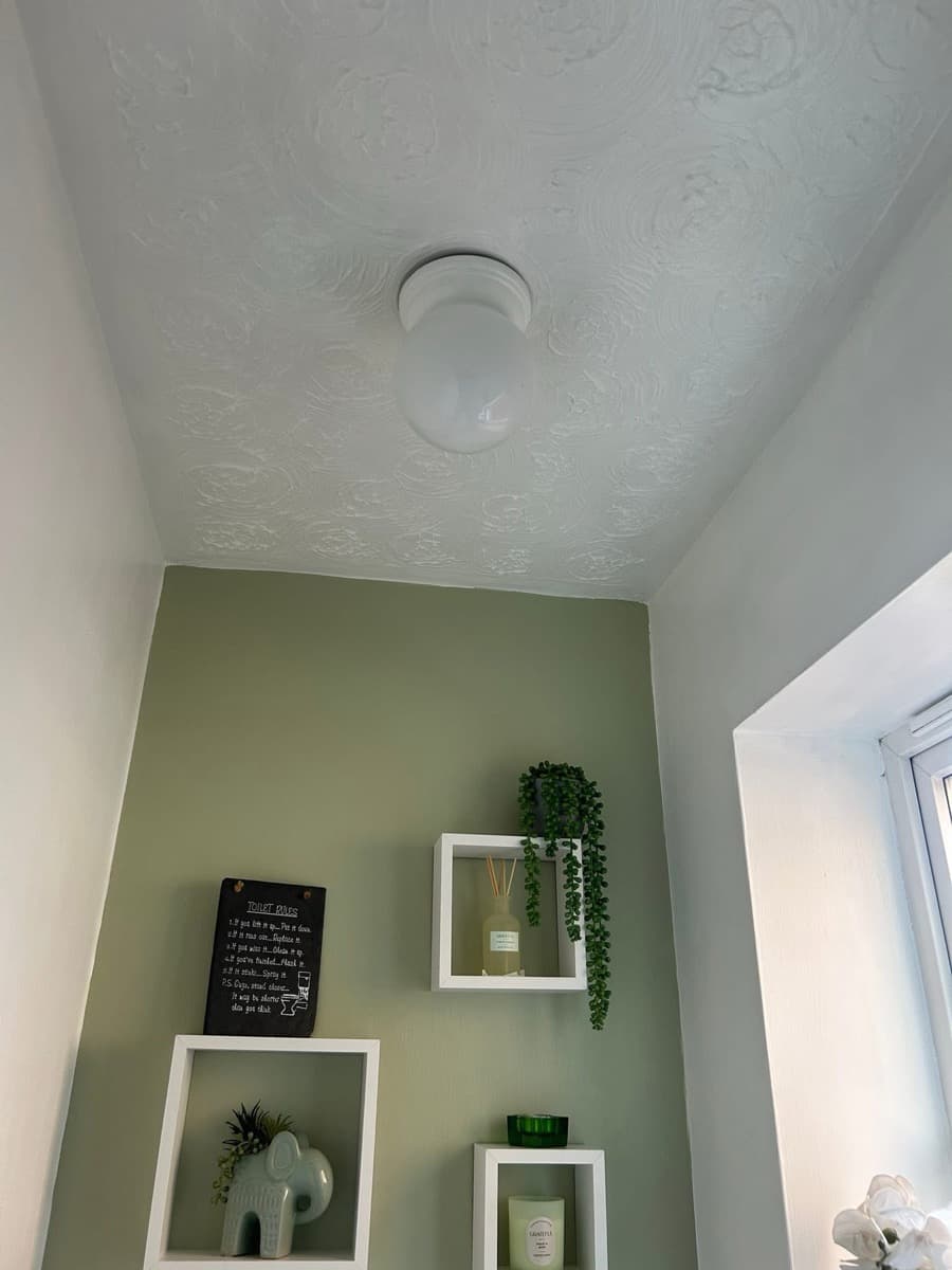 Downstairs Toilet - Ceiling Detail